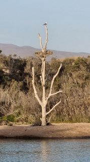 2023-11-GranCan-Maspalomas_Oasis-25.jpg